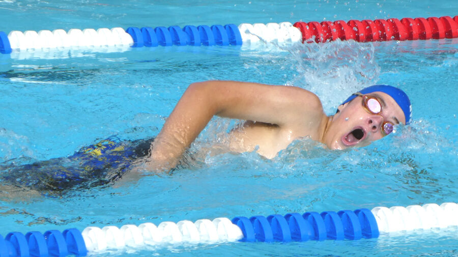 Holy Mackerels swimmers 5
